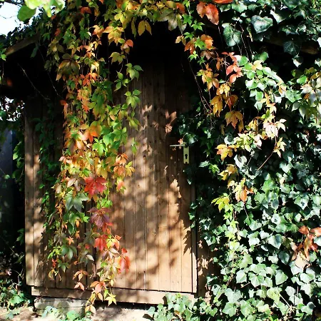 Little Paradise - Retreat- And Meditation Center Hoisdorf